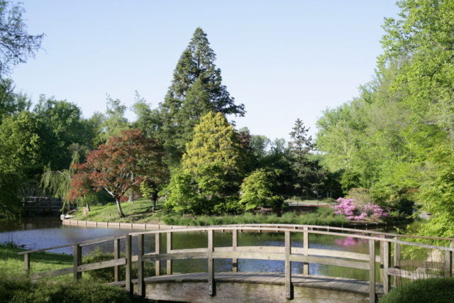 Brookside Gardens bridge
