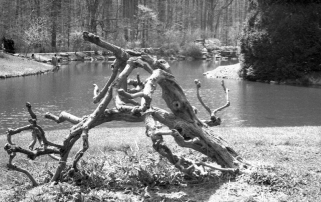 Praktica_FX_FP4_06