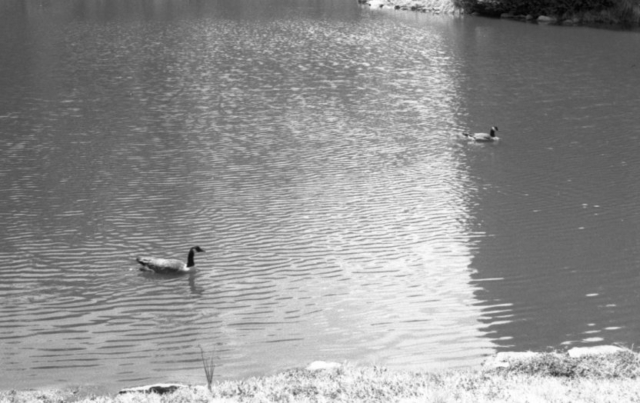 Praktica_FX_FP4_08