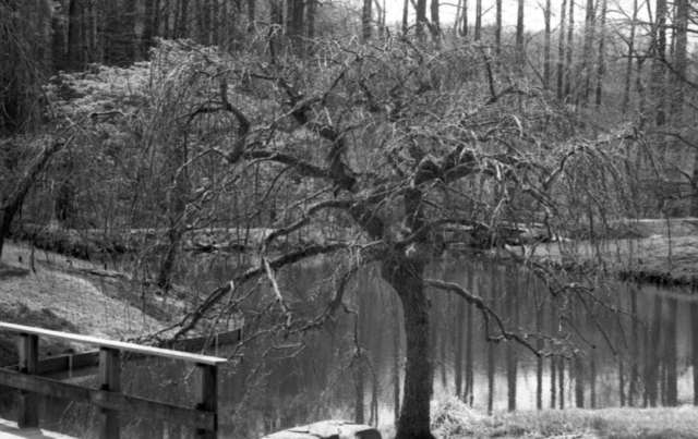 Praktica_FX_FP4_12