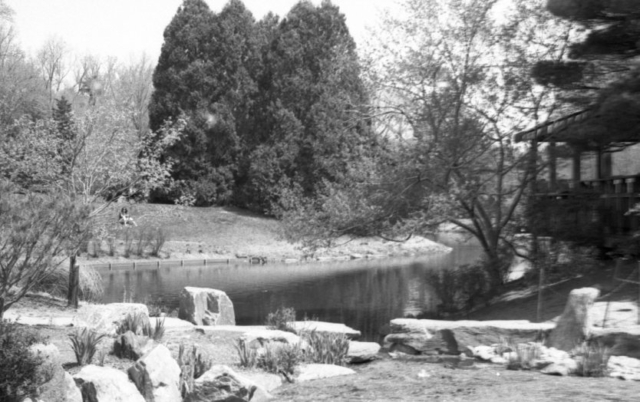 Praktica_FX_FP4_15